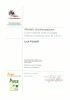 attestato corso bugs